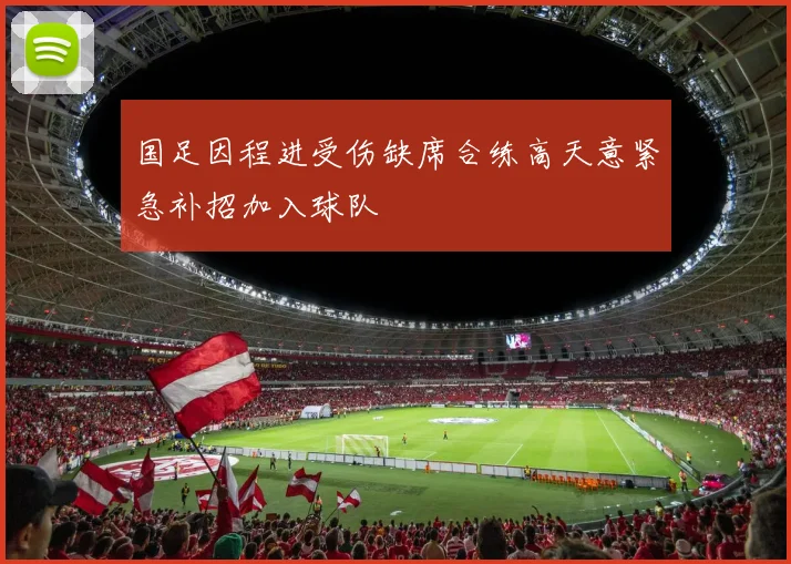 国足因程进受伤缺席合练高天意紧急补招加入球队