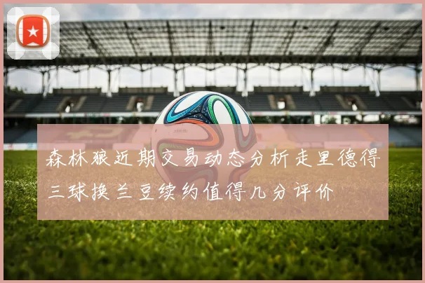 森林狼近期交易动态分析走里德得三球换兰豆续约值得几分评价