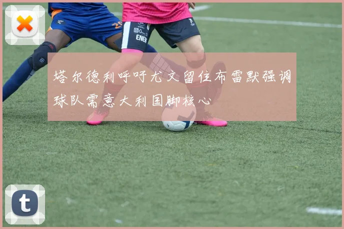 塔尔德利呼吁尤文留住布雷默强调球队需意大利国脚核心