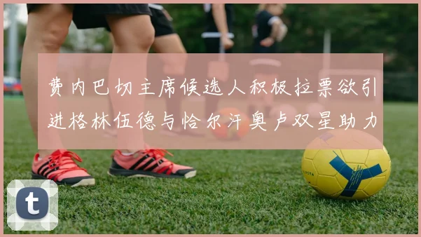 费内巴切主席候选人积极拉票欲引进格林伍德与恰尔汗奥卢双星助力球队
